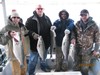 (03/27/2015) - Nice Striped Bass